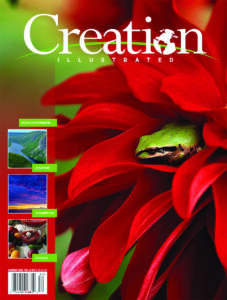 Creation Illustrated Cover